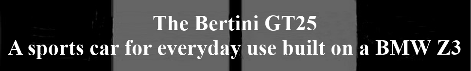 bertini logo